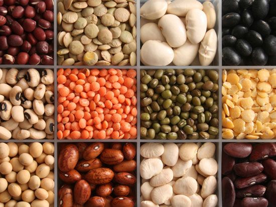 أطعمة تحرق الدهون