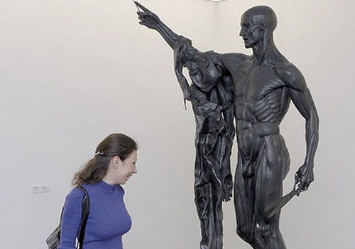 حجم كرامة الرجل يؤثر على ذكائه